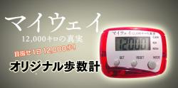 myway01.jpg